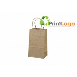 ECO-FRIENDLY PAPER BAGS-IGT-EP8995